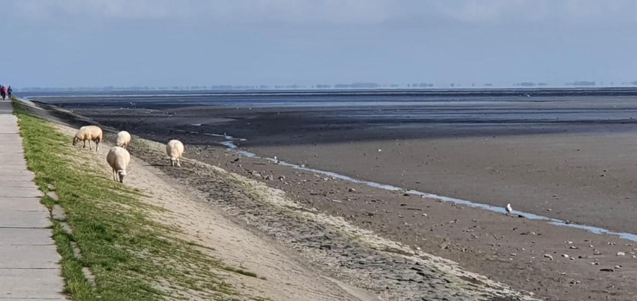 Fewo Mit Meerblick - Direktzugang Zur Nordsee Wilhelmshaven Exterior foto